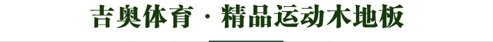 吉奧精品運動木地板